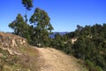 Path in the Himalayan Mountains, Nepal Royalty Free Stock Photo