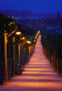 Path illuminated with lampposts at night Royalty Free Stock Photo