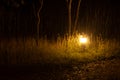 Path illuminated with lights in a jungle resort.