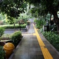 A path inside the garden