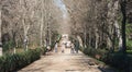 Path inside the Retiro Park in Madrid. The Buen Retiro Park is a