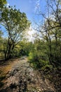 path inside the Ticino natural park Royalty Free Stock Photo