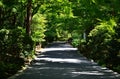 Path of Japanese garden, Kyoto Japan. Royalty Free Stock Photo