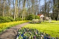 Path with colorful flowerbeds in Keukenhof Park. Blooming yellow daffodils, red and pink tulips, blue hyacinths