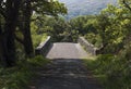 Asphalt bridge between trees in the park