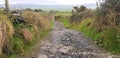 The Path From Knocknarea and Queen Maeve`s Tomb Royalty Free Stock Photo