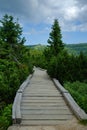 Path in Krkonose - Czech Republic Royalty Free Stock Photo