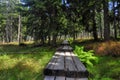 Path in Krkonose Royalty Free Stock Photo