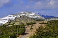 Path in Krkonose Royalty Free Stock Photo