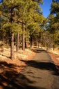 Path Lake of the Woods Arizona