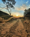 Path landcape look sunset Royalty Free Stock Photo
