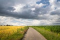 a path in the landscape - a road leading to the horizon between two fields Royalty Free Stock Photo