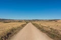The path and the landscape where the pilgrims walk in Camino de Santiago, Navarre, Spain. Royalty Free Stock Photo