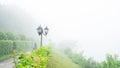 Path with lanterns and a green slope to the lake with heavy evaporation fog in the summer morning. background Royalty Free Stock Photo