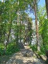 A path between large stones and trees in the rocky natural park of Monrepos in the city of Vyborg against the background of a blue Royalty Free Stock Photo