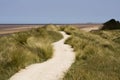 A path leading across the sand dunes Royalty Free Stock Photo