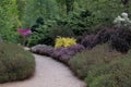 Path leading through the beautiful Isabella plantation