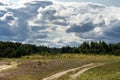 A path leading into a coniferous forest. Forest landscape with rainy dark clouds in the sky