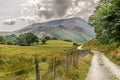 A path leading through a field toward forest and mountains. Royalty Free Stock Photo