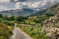 A path leading through a field toward forest and mountains. Royalty Free Stock Photo