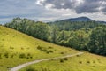 A path leading through a field towards a forest and mountains. Royalty Free Stock Photo