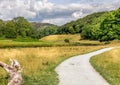 A path leading through a field towards a forest and mountains. Royalty Free Stock Photo