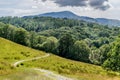 A path leading through a field towards a forest and mountains. Royalty Free Stock Photo