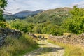 A path leading through a field towards a forest and mountains. Royalty Free Stock Photo