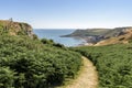 A path leading through foliage, towards the sea and distant headland, on a bright summer`s day.