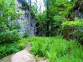 Path leading past a field of ferns into a cave at Pokljuka gorge , Slovenia