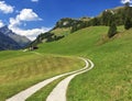 Path leading to alpine hut in Splugen, Switzerland Royalty Free Stock Photo