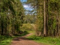 Path leading to ancient earthworks at Haywood Woods, Devon, England.