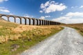Path leading to arches of a railway viaduct, blue sky and clouds wide angle