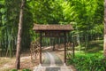 Path leading to bamboo forest on Tiger Hill Hu Qiu in Suzhou, Jiangsu, China Royalty Free Stock Photo