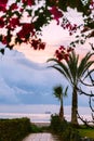 Path leading to the beach in Larnaca, Cyprus. Palm trees and pink flowers Royalty Free Stock Photo