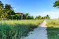 Path leading to Caribbean beach Royalty Free Stock Photo