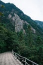 Path leading to forest on Wugong Mountain in Jiangxi, China