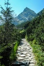 Path leading to Koscielec mountain Royalty Free Stock Photo