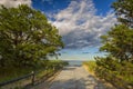 The path leading to the ocean among the pines. Royalty Free Stock Photo