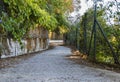 Path leading to the sea Royalty Free Stock Photo