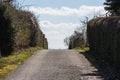 Path Leading to Sky Bushes Blue Beautiful Sunny Day Weather Perspective Walking Way Long Clouds