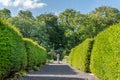 A path leading to a sundial in a bontanical garden, through hedges