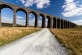 Path leading to sunlit arches of a railway viaduct, wide angle