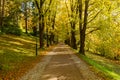 The path leads in one directions. The way to the autumn park in the centre of the forest Royalty Free Stock Photo