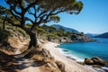 A path leads to a beach with trees and water, AI