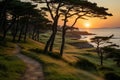 a path leads to the ocean at sunset with trees on the hillside