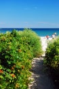 A path leads to the sea Royalty Free Stock Photo