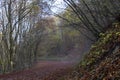 the path that leads to the Ventasso lake