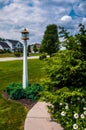 Path and lightpost in garden Royalty Free Stock Photo