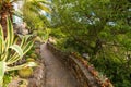 Path lined with flower pots through a garden in the south of France